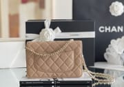 CHANEL WOC HAAS