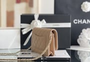 Chanel woc 12 × 19 × 4 cm 灰色浅金扣-3063