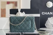 Chanel woc 12 × 19 × 4 cm 焦糖色-1912