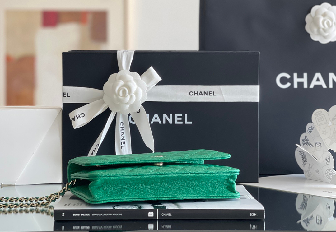 Chanel woc 12 × 19 × 4 cm 奶茶色浅金扣-3926