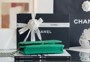 Chanel woc 12 × 19 × 4 cm 奶茶色浅金扣-3926