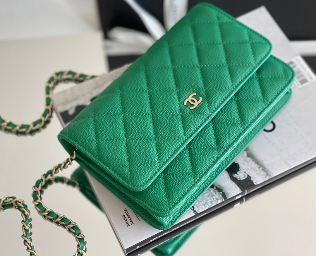Chanel woc 12 × 19 × 4 cm 奶茶色浅金扣-3926