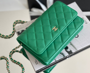 Chanel woc 12 × 19 × 4 cm 奶茶色浅金扣-3926