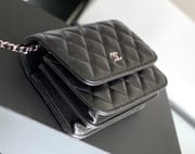 Chanel woc 12.3 × 19.2 × 3.5 cm 蓝色-6164