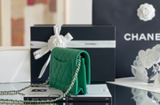 Chanel woc 12 × 19 × 4 cm 奶茶色浅金扣-3926