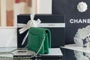 Chanel woc 12 × 19 × 4 cm 奶茶色浅金扣-3926