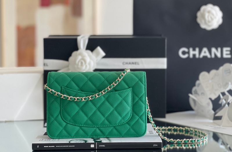 Chanel woc 12 × 19 × 4 cm 奶茶色浅金扣-3926