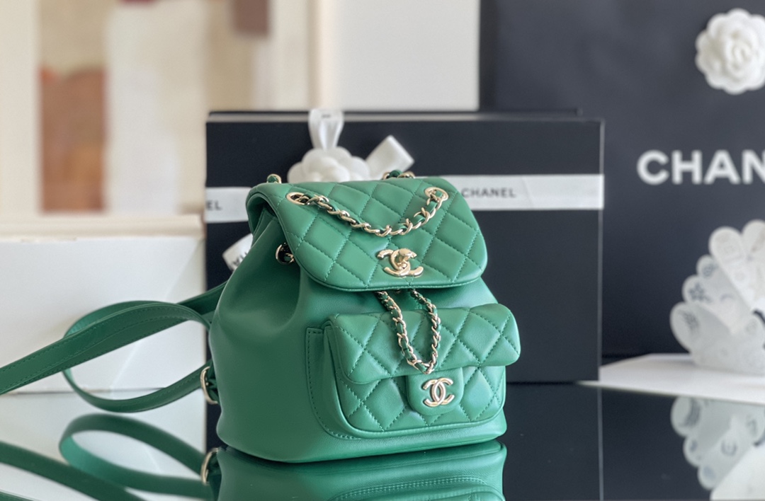 Chanel Duma 18× 18×11cm Green