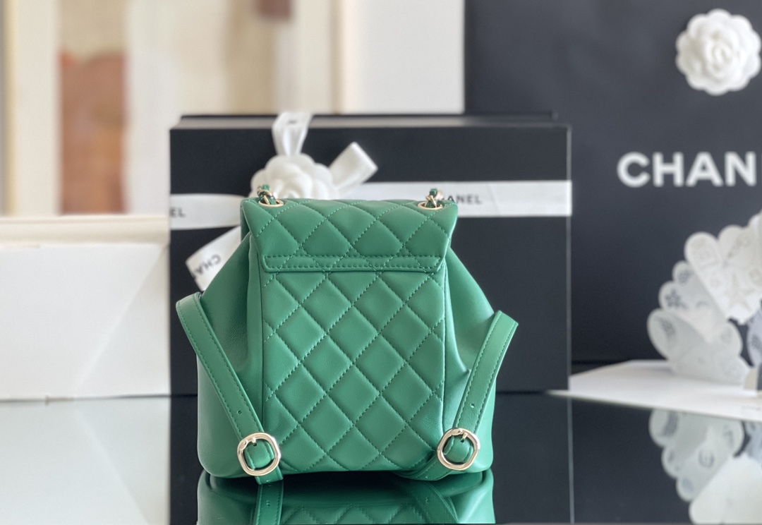 Chanel Duma 18× 18×11cm Green