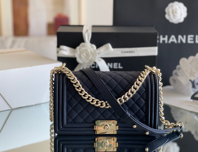 Chanel Leboy-25× 14.5×8cm 湖水绿复古金扣-8838