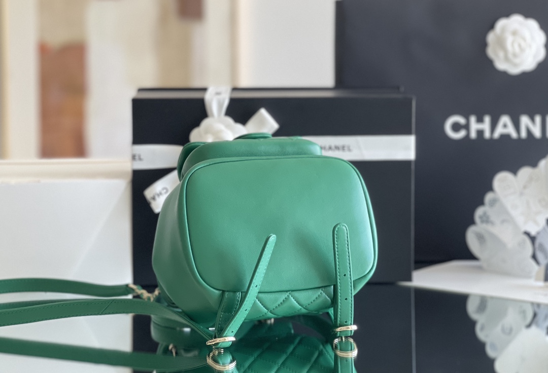 Chanel Duma 18× 18×11cm Green