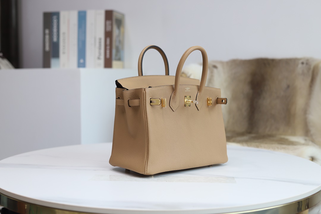 HERMES BIRKIN25 CHAI TOGO GHW/PHW