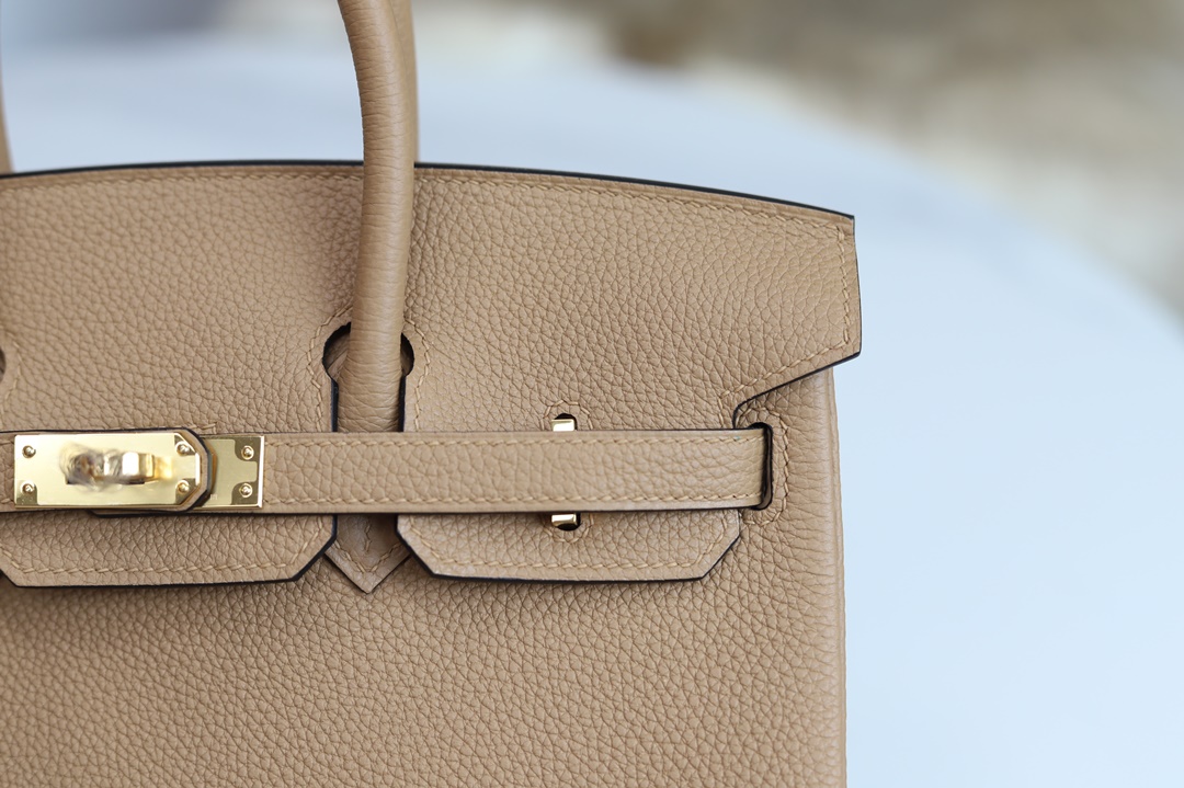 HERMES BIRKIN25 CHAI TOGO GHW/PHW