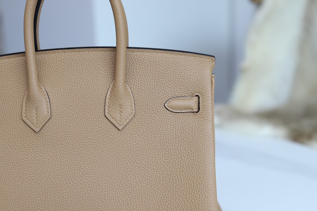 HERMES BIRKIN25 CHAI TOGO GHW/PHW