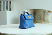 71 BLEU FRANCE MINI 2424 EVERCOLOR GHW