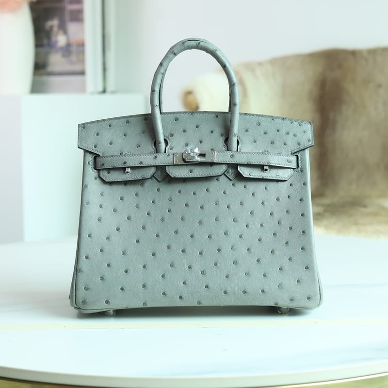 BIRKIN 25 OSTRICH 0L GRIS MEYER PHW