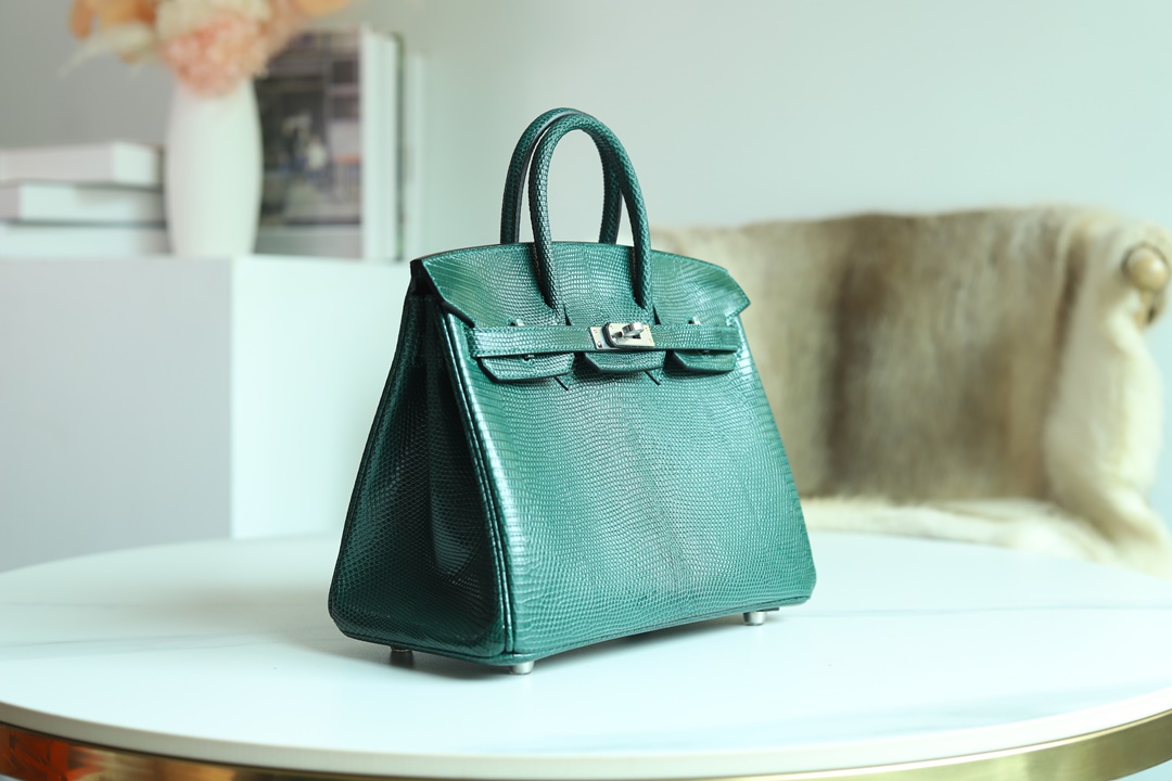 Birkin discount 25 lizard