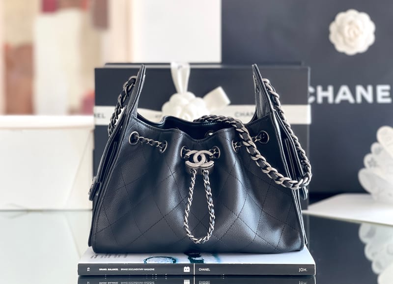 CHANEL 25 HOBO MINI PHW