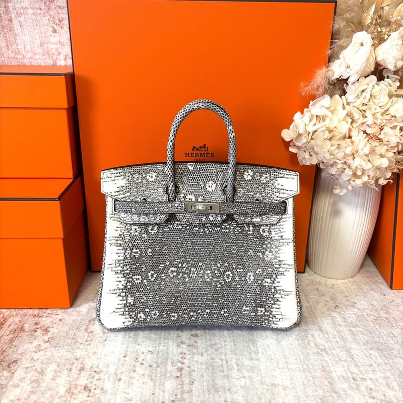 Birkin 25 cm Lizard 1B Ombre Phw