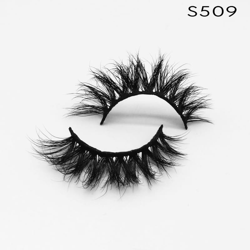 S509
