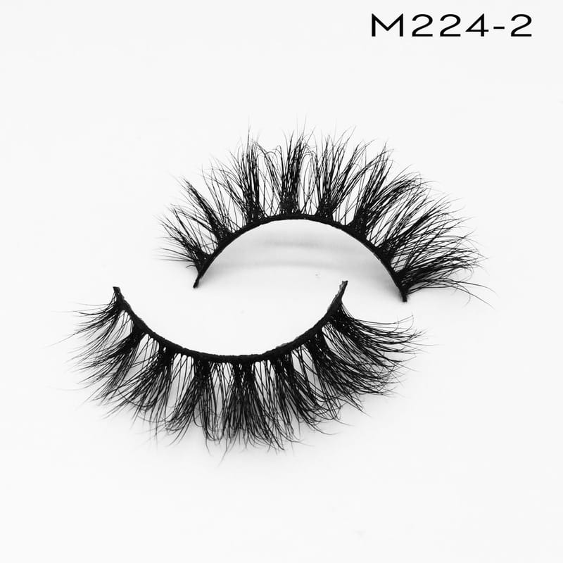 M224-2