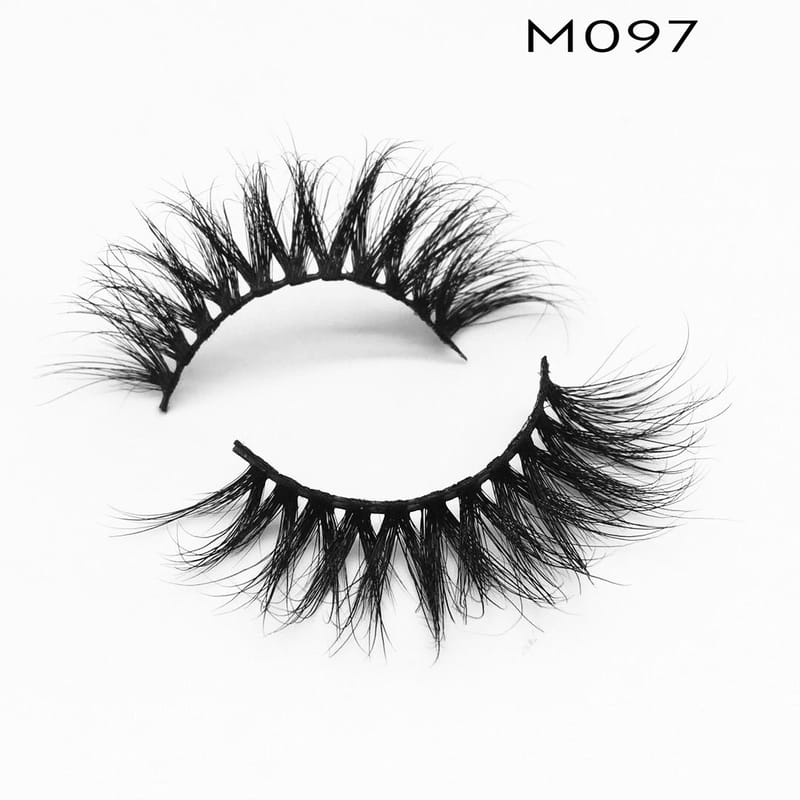 M097