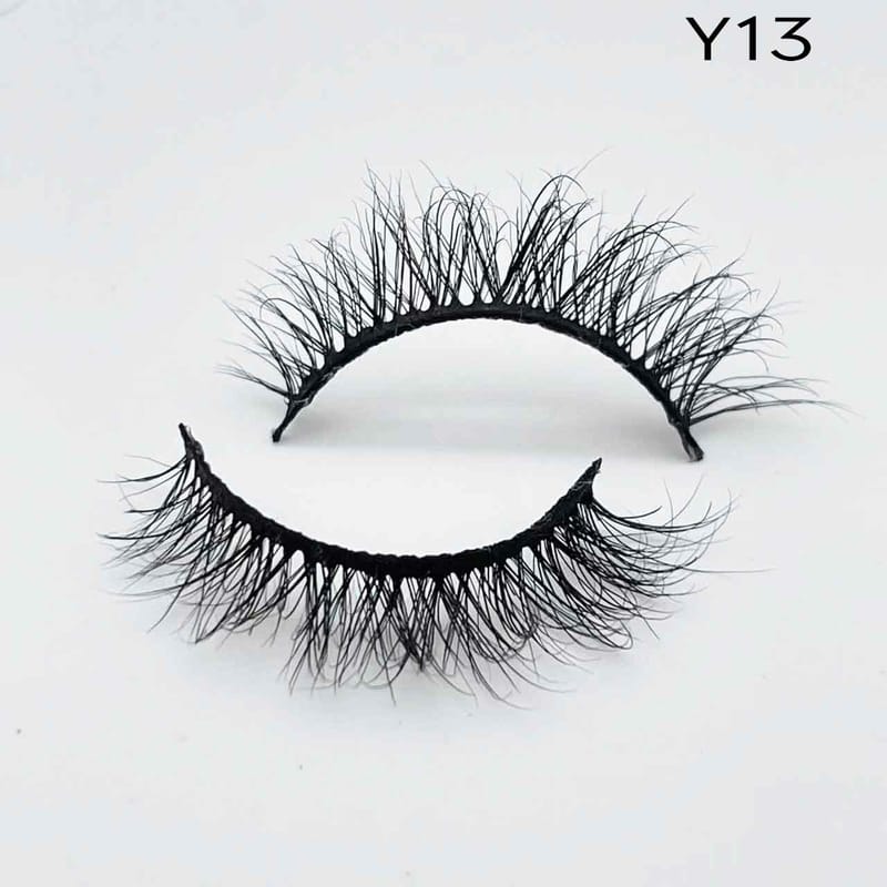 Y13