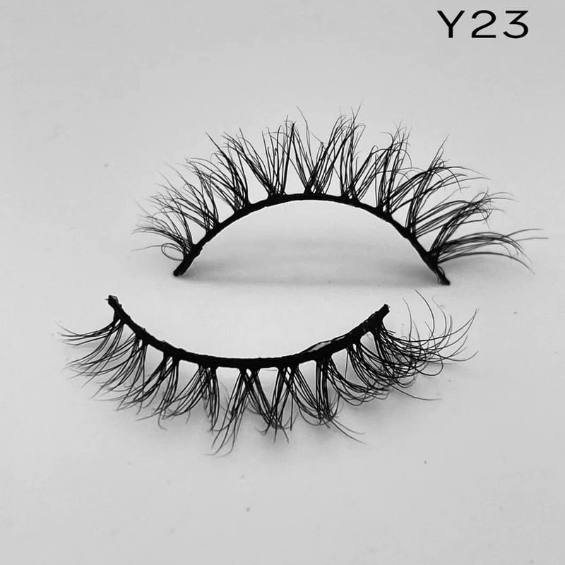 Y23