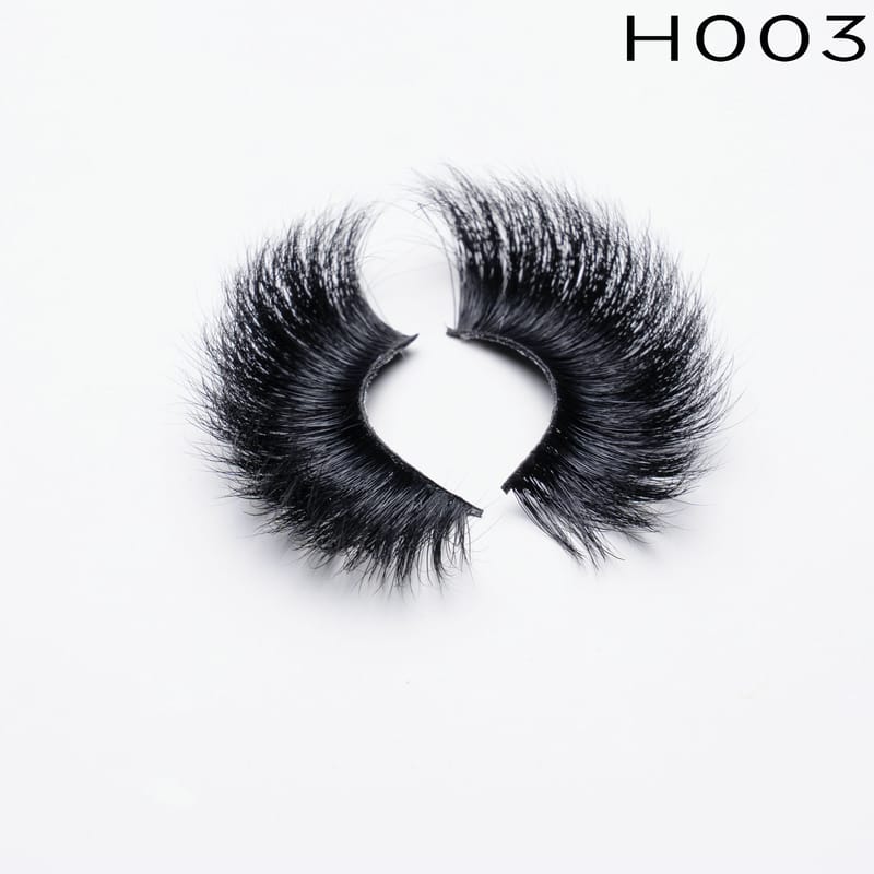 H003