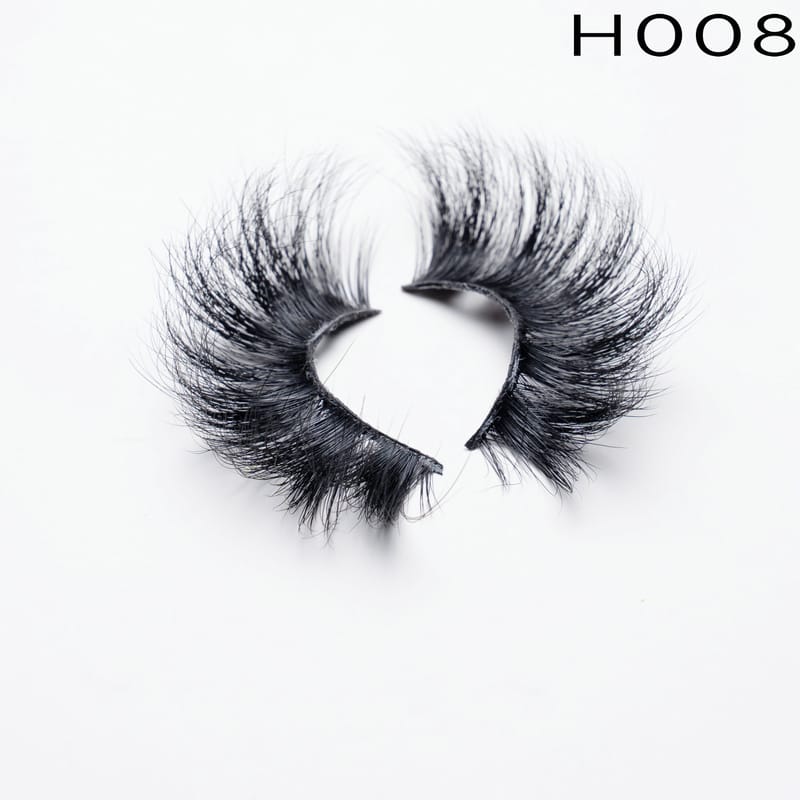 H008
