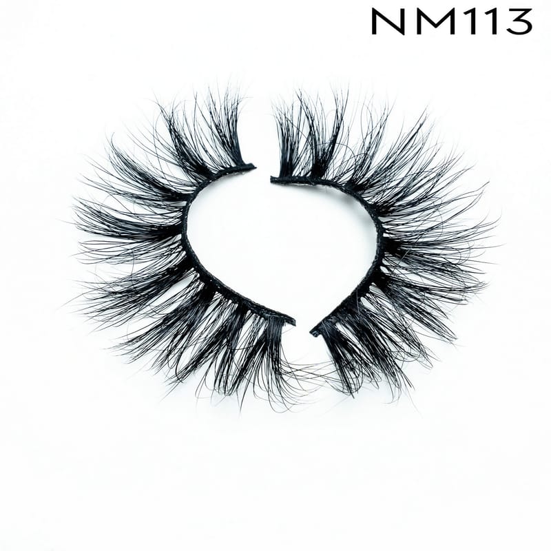 NM113