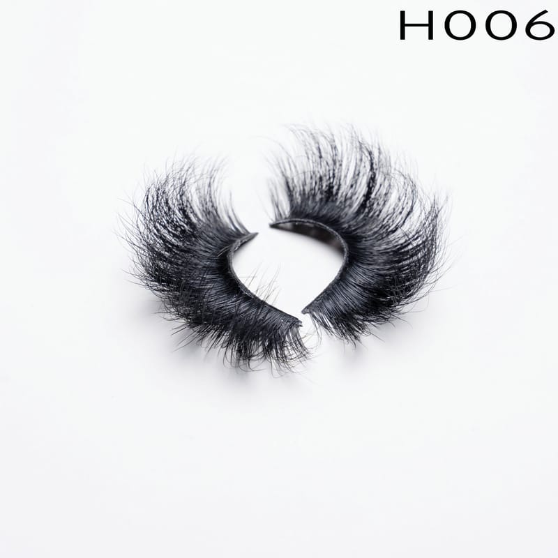 H006