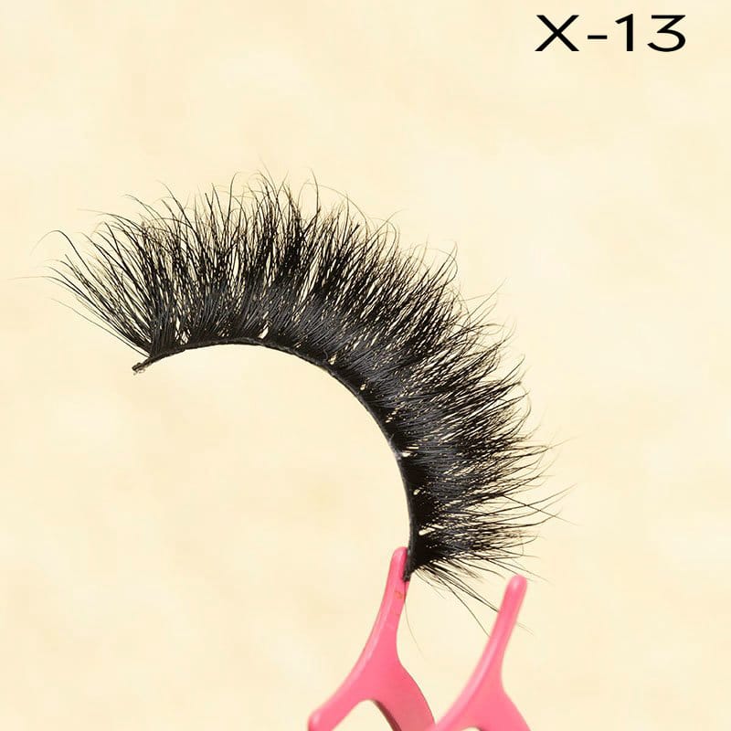 X-13