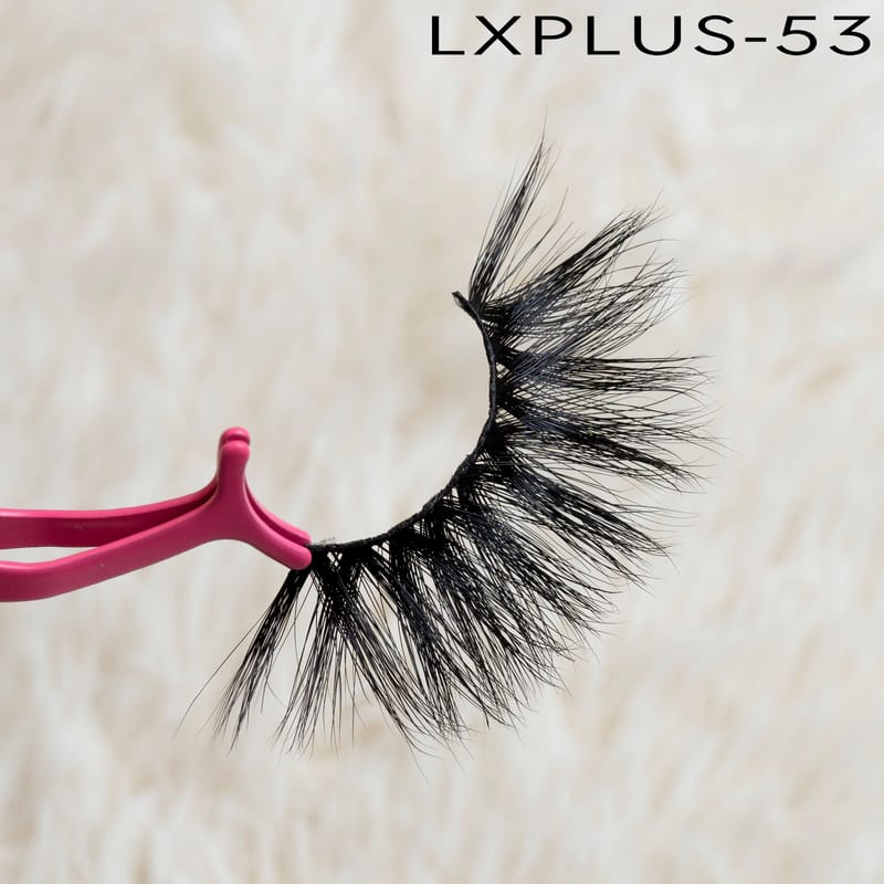 LXPLUS-53