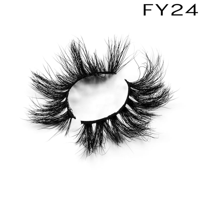 FY24