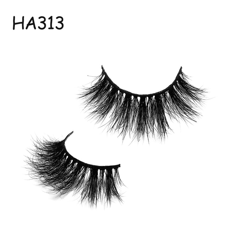 HA313