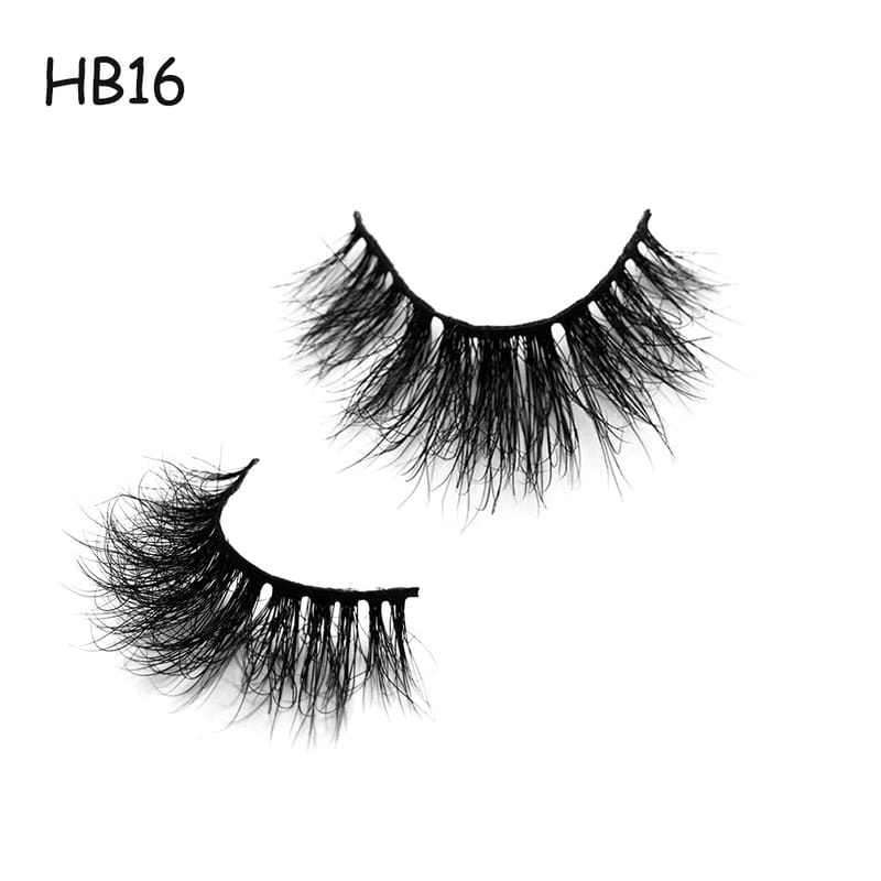 HB16