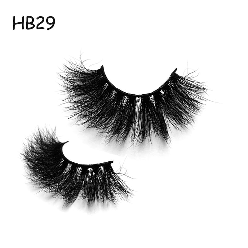 HB29