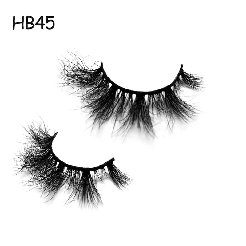 HB45