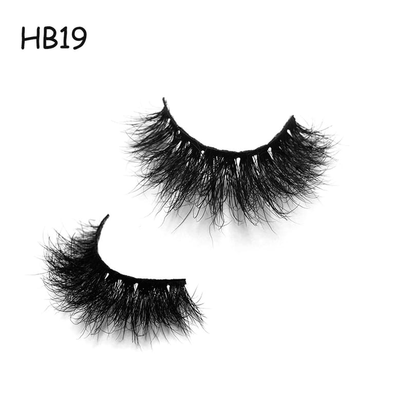 HB19