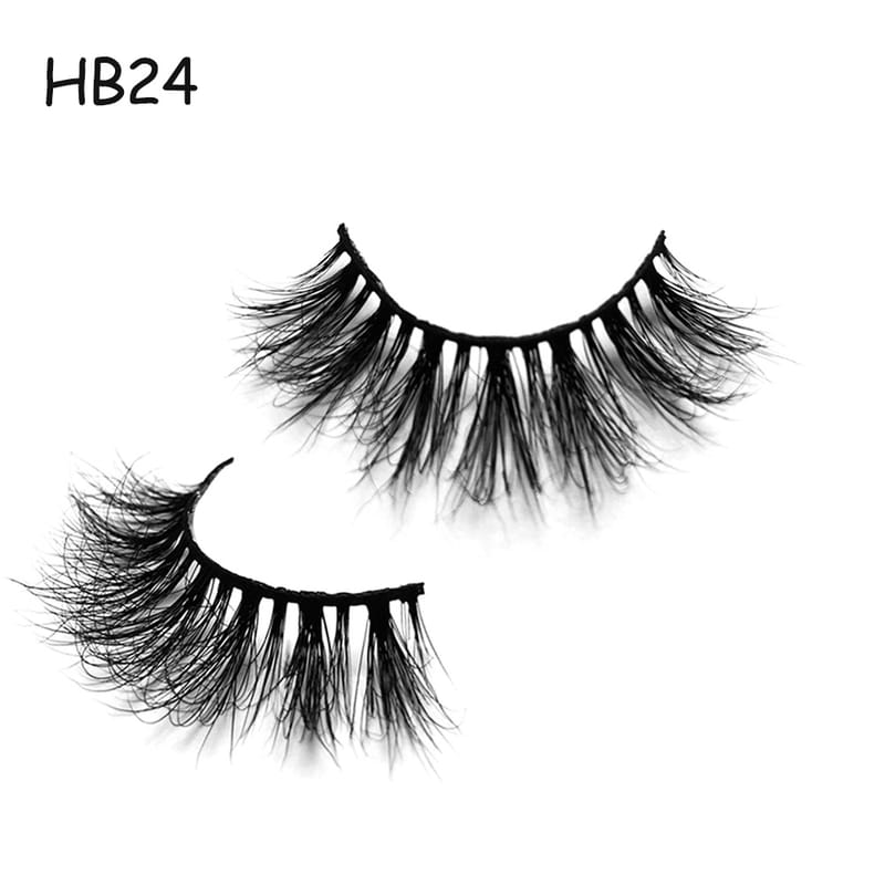 HB24