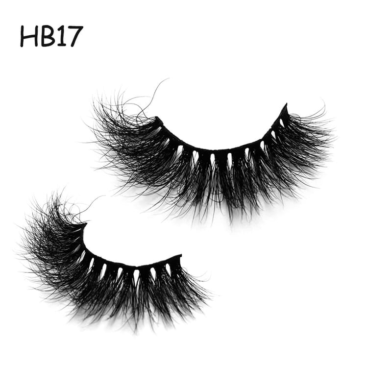 HB17