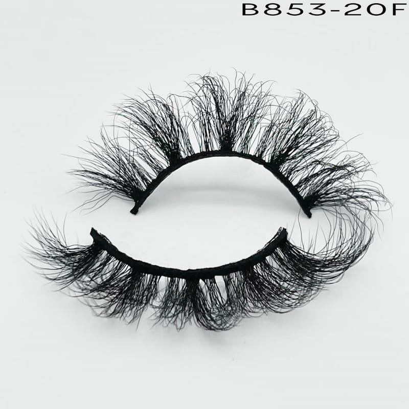 B853-20F