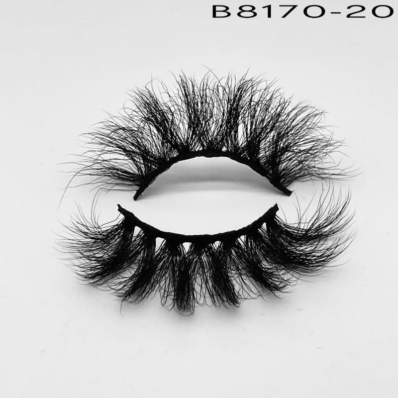 B8170-20