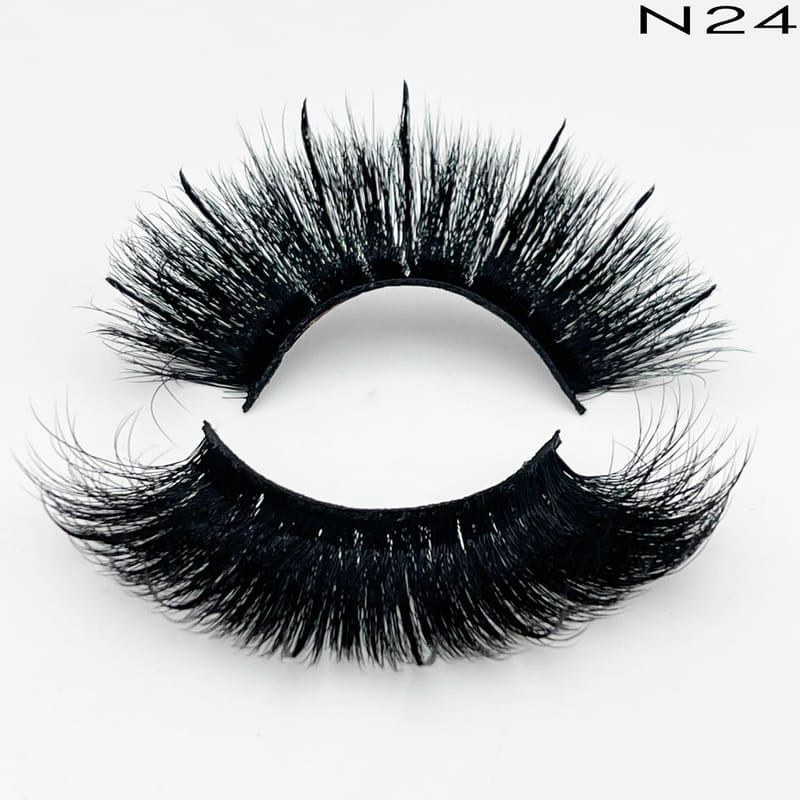 N24