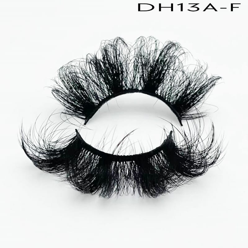 DH13A-F