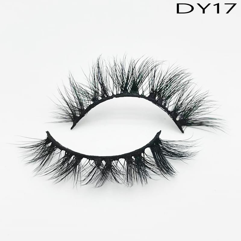 DY17