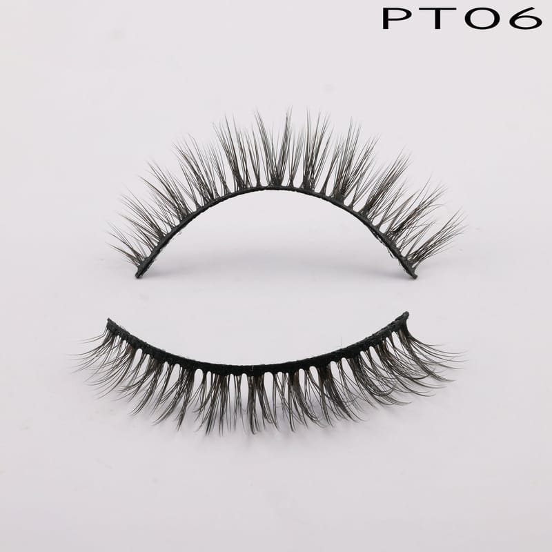 PT06
