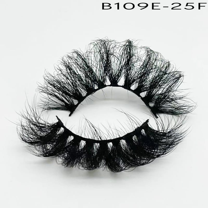 B109E-25F