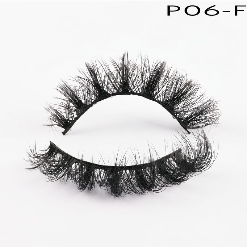 P06-F